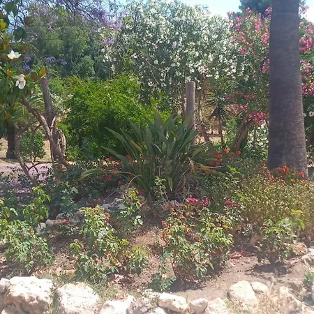 Zen Gardens Retreat *