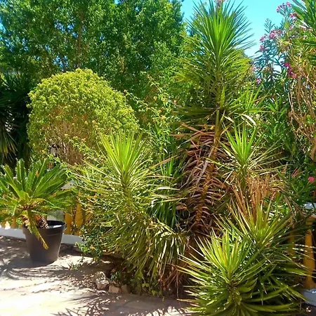 Pensionat Zen Gardens Retreat