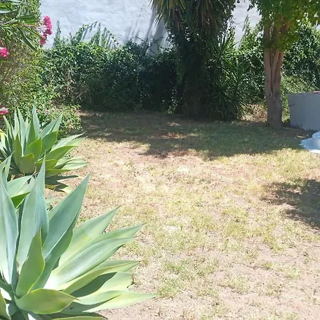 Zen Gardens Retreat Penzion