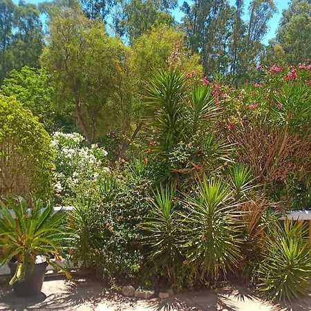 Gasthuis Zen Gardens Retreat